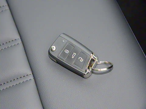 2025�� 430PHEV �춯�����