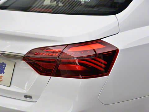 2019�� ����� 1.5L �ֶ��������˰� ��V