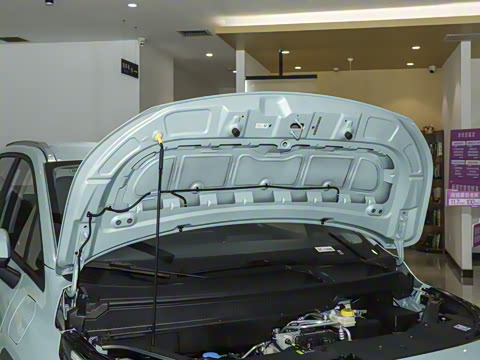 2025�� Plus 510 ������