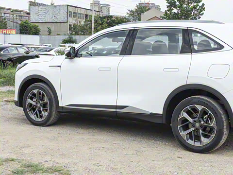 2025�� ���Ĵ� 1.5T ������ �ǻ�׿Խ��