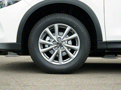 2025�� 2.0L �Զ�����������