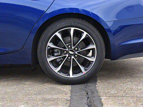 2025�� 28T �����˶���