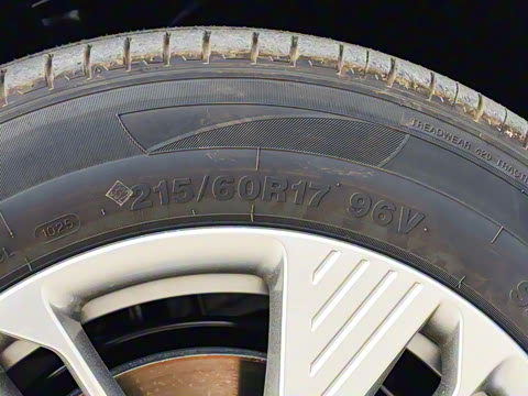 2025�� 565km ������