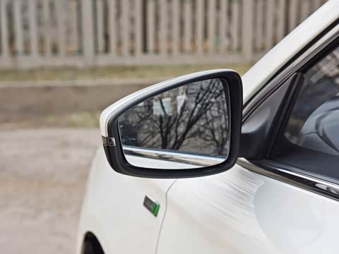 2019�� ���������