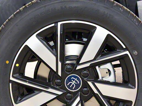 2023�� �ھ��� DM-i 110KM��Խ��