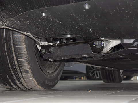 2025�� Max �����