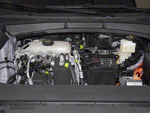 2025�� 450km ������