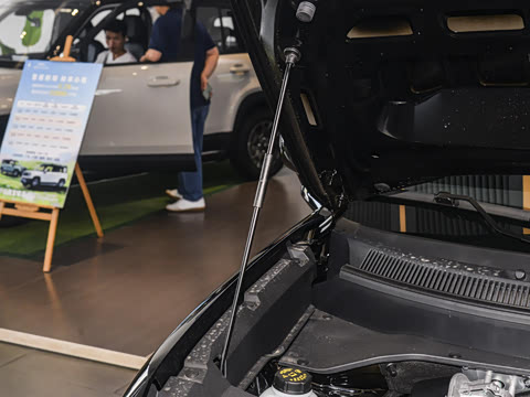 2026�� 301km�콢��