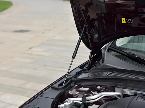 2026�� ���ʽ�춯 �������������ź�����