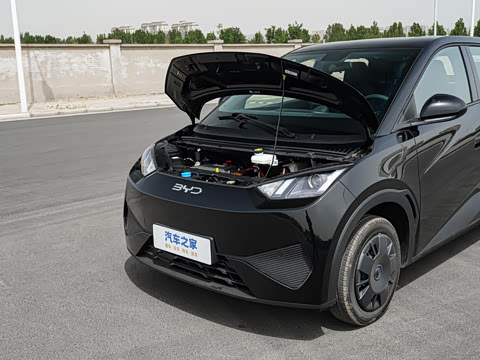 2025�� �Ǽݰ� 305km ������