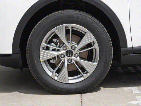 2025�� 445km ���ð�