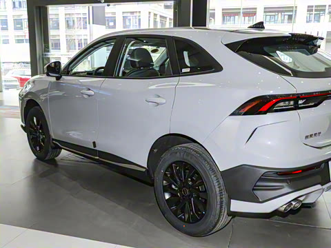 2024�� ��쮰� 1.5TD DCT���ƿ�