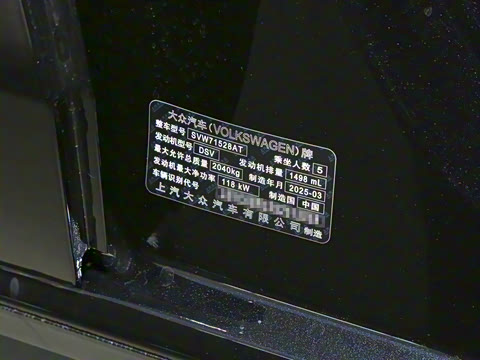 2025�� Pro 300TSI ��ҫ��