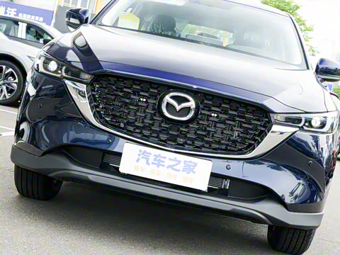 2025�� 2.0L �Զ�����������