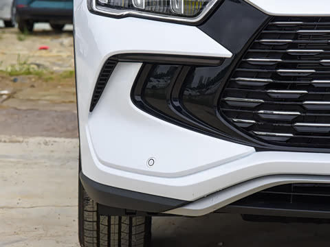 2023�� �ھ��� DM-i 110KM��Խ��