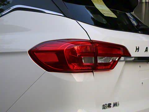 2019�� 1.5T �ֶ�������Ӣ�� ��V