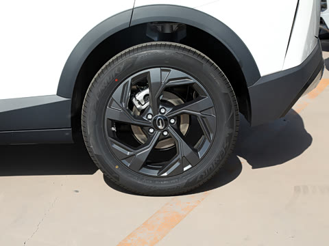 2025�� Ӱ�� 270T ������ ƽ������