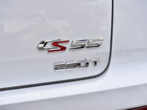 2019�� 1.5T �Զ���ɫ�� ��VI