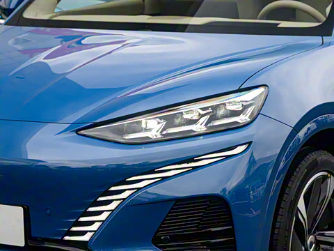 2023�� ����������Max��