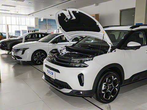 2026�� 360THP ������