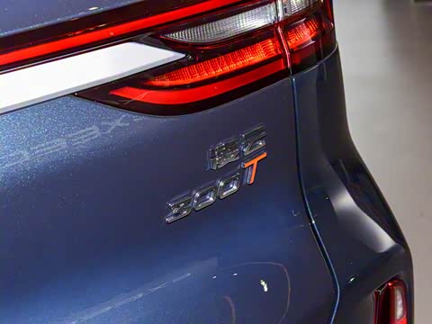 2025�� 300T �����ǹ��