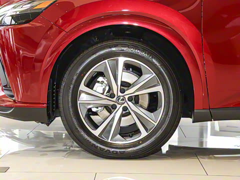 2025�� 300 ����������