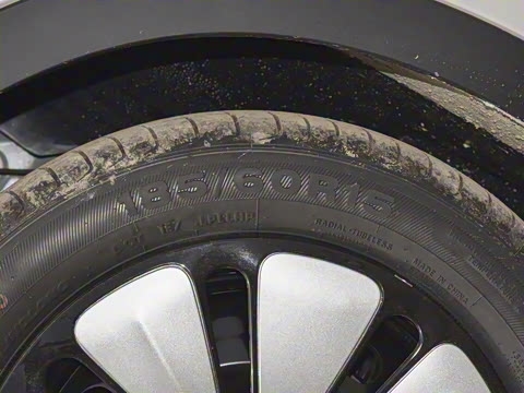 2025�� 333km ������