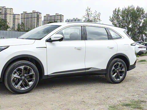 2025�� ���Ĵ� 1.5T ������ �ǻ�׿Խ��