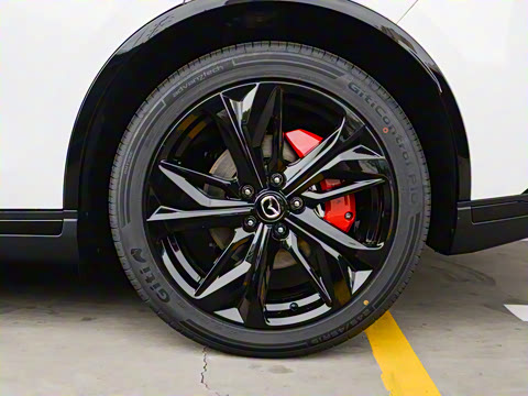 2025�� ����200�����˶���