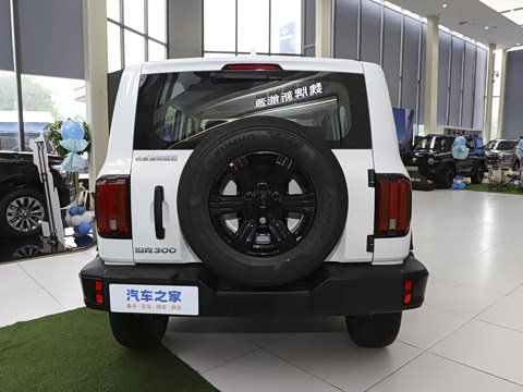 2025�� 2.0T ��ս��