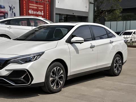 2019�� ������������