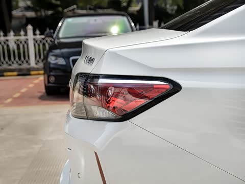 2019�� ������������