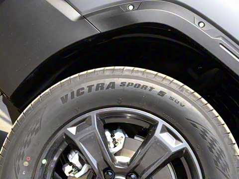 2025�� 2.0T 4WD Pro