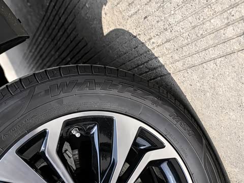 2019�� ������������