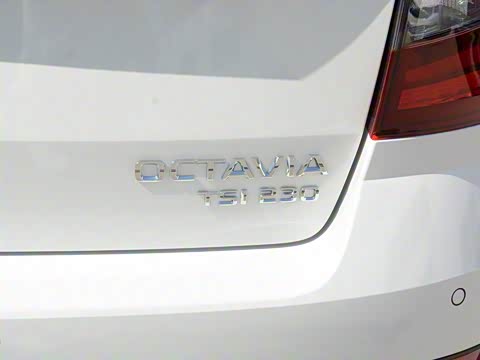 2019�� ���г� TSI230 DSG������ ��VI