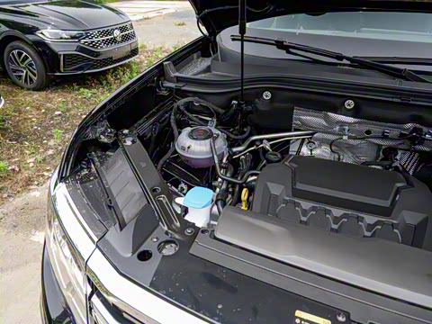 2025�� ;��X 380TSI �������ڰ�