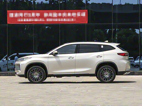 2025�� 300T ������ҹ��