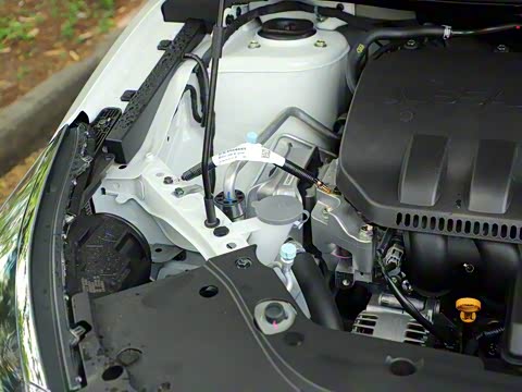 2019�� ʮ����ҫ 1.6L XL �ֶ������ ��VI