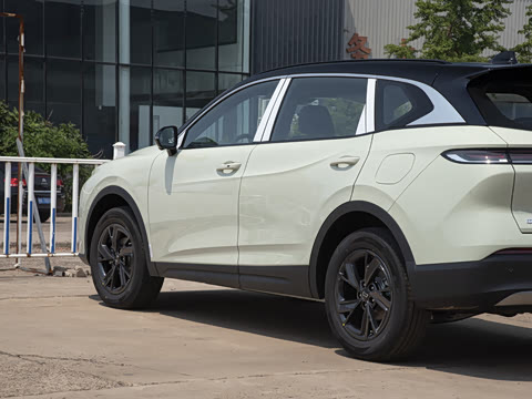 2025�� 150km ��ѡ��