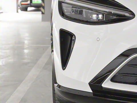 2025�� ������������������Max��