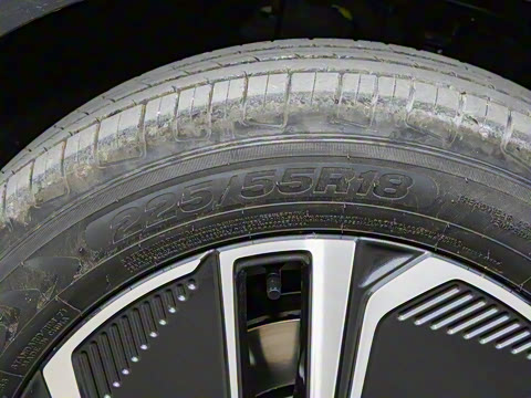 2025�� 55km ������