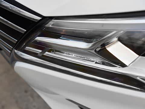 2019�� ���������