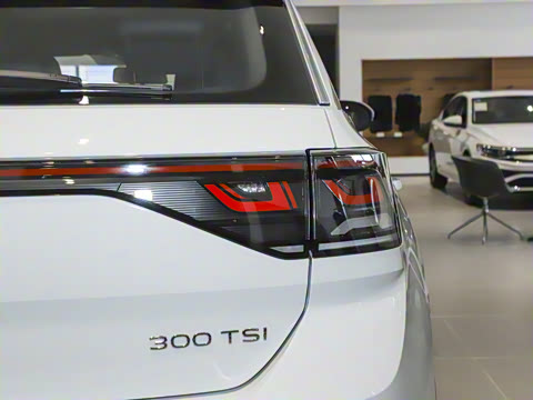 2025�� �Ŀ�� 300TSI DSG�����ǹ��