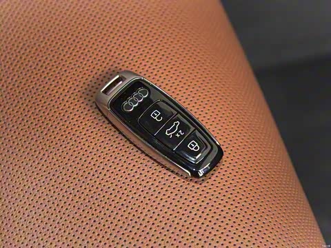 2020�� 55 TFSI quattro S line�˶���