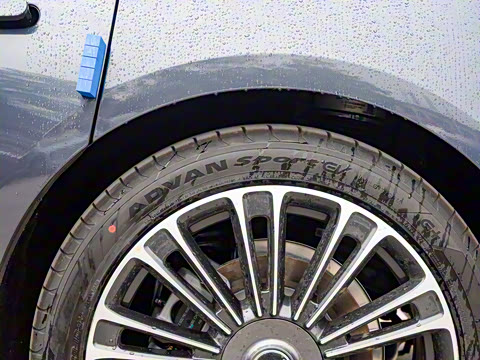 2025�� ���� Max+