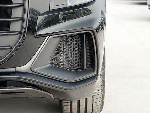 2022�� 55 TFSI ��ѩ�˶���