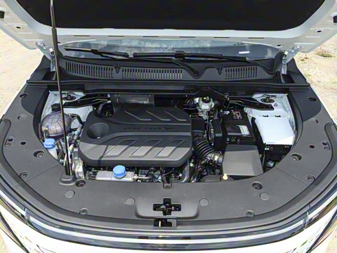 2025�� ���Ĵ� 1.5T ������ �ǻ�׿Խ��