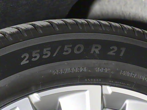 2025�� Max ������