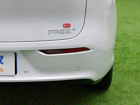 2025�� FREE+ ����Ǭ����