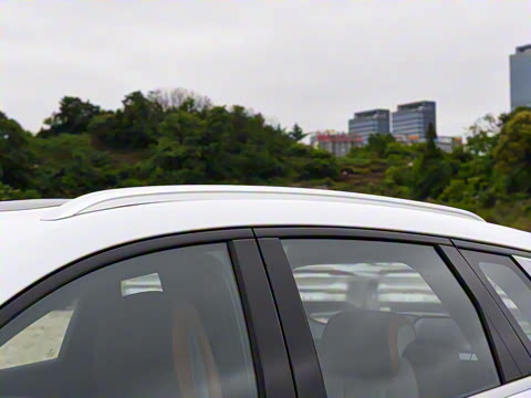 2023�� �ھ��� DM-i 110KM��Խ��